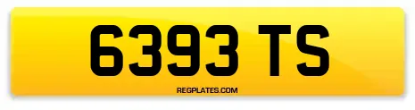 6393 TS