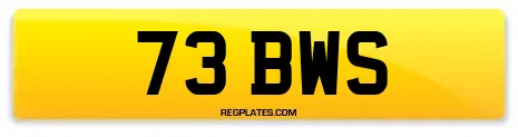 73 BWS