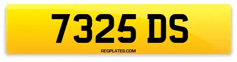 7325 DS