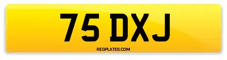 75 DXJ
