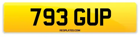 793 GUP