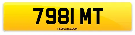 7981 MT