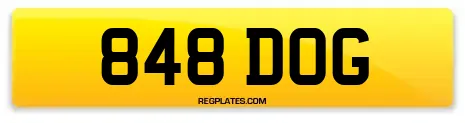 848 DOG