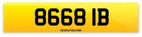 8668 IB