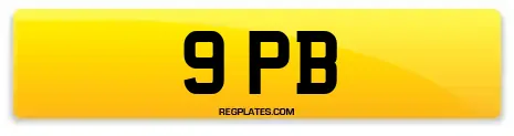 9 PB