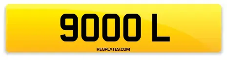 9000 L
