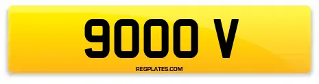 9000 V