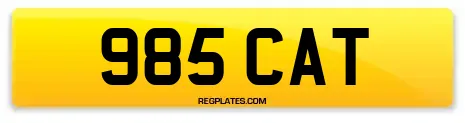 985 CAT
