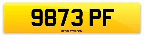 9873 PF