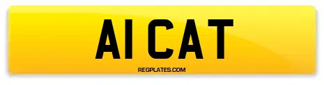 A1 CAT
