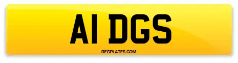 A1 DGS