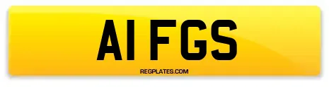 A1 FGS