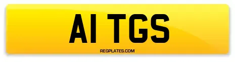 A1 TGS