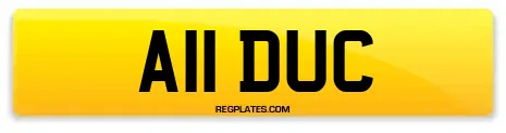 A11 DUC