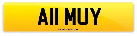 A11 MUY
