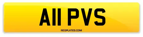 A11 PVS