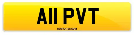 A11 PVT