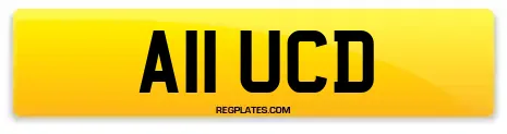 A11 UCD