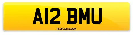 A12 BMU