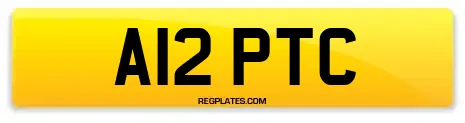 A12 PTC