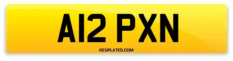 A12 PXN
