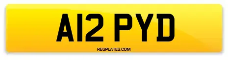 A12 PYD
