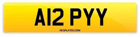 A12 PYY