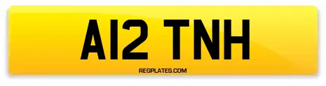 A12 TNH
