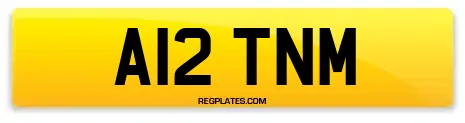 A12 TNM