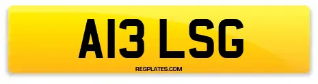 A13 LSG