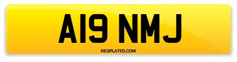 A19 NMJ