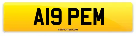 A19 PEM