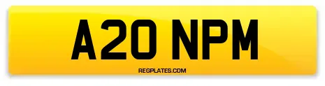 A20 NPM