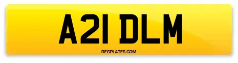 A21 DLM