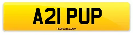 A21 PUP