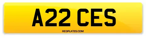 A22 CES