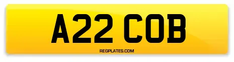 A22 COB