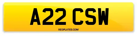 A22 CSW