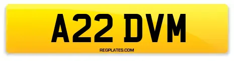 A22 DVM