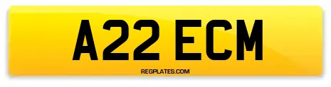 A22 ECM