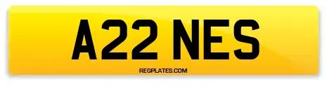 A22 NES
