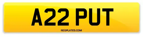 A22 PUT