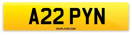 A22 PYN