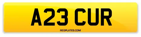 A23 CUR
