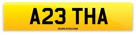 A23 THA