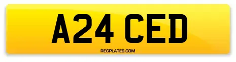 A24 CED