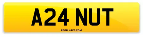 A24 NUT