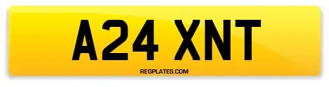A24 XNT