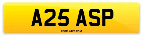 A25 ASP