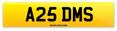 A25 DMS